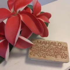 Item thumbnail for item 9a8854e5-06be-465e-9d46-94623fbcc4d9