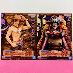 ONE PIECE ポートガス・D・エース & マーシャル・D・ティーチ