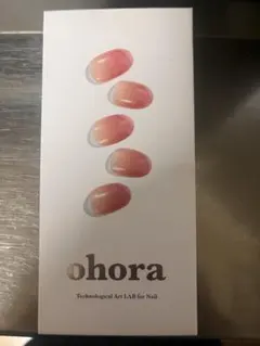 ohora ネイルシール グラデーションピンク 2シート