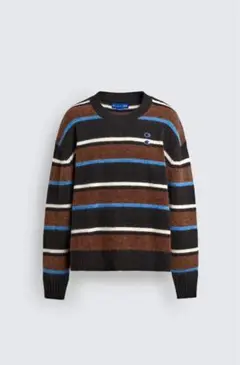 CHAMPION ZARA ストライプ柄パッチセーター XLサイズ 新品