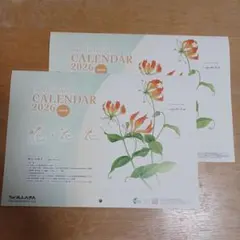 Item thumbnail for item 67456b3d-ada8-46d9-8824-74e459766b23