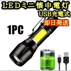 Item thumbnail for item 9f14ca06-029d-4031-9167-4bf8590515aa