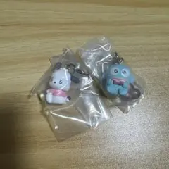 サンリオ めじるしアクセサリー エモきゅん ポチャッコ ハンギョドン 2点セット