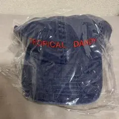 2025年最新】トロピカルダンディの人気アイテム - メルカリ