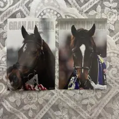 グランアレグリア・キタサンブラック　ポストカード　2枚セット