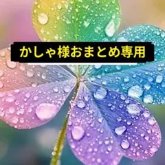 かしゃ様 リクエスト 2点 まとめ商品
