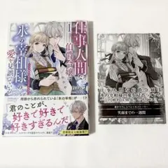 仕事人間な伯爵令嬢は氷の宰相様の愛を見誤っている 1