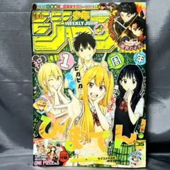 Item thumbnail for item e1952f9f-bcb6-4905-a4d4-cffb5f1f9df6