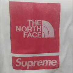 Supreme The North Face S/S Top 