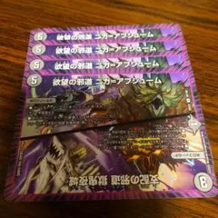 ニガアブシューム