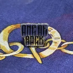 ONE OK ROCK ロゴ ピアス