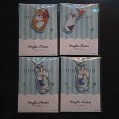 mofusand アクリルチャーム 4個セット