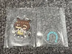 ウマ娘 アグネスタキオン 韓国 限定 缶バッジ 特典 aniplus - メルカリ