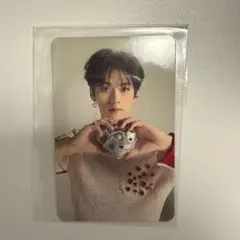 Stray Kids MAXIDENT リノ トレカ