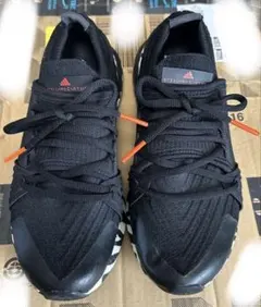 adidas byステラマッカートニー✨ウルトラブースト　24.5㎝