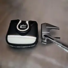 パターCobra SuperStroke⛳のサムネイル