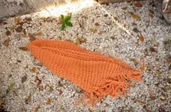 Item thumbnail for item a5da7e92-4594-4a85-9cfd-77ca9fbdb4ae