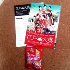 特別展江戸☆大奥　非売品100個限定 ブローチ着せかへ大奥（3種）パンフレット 2025年最新】大奥展の人気アイテム - メルカリ