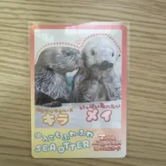 鳥羽水族館 コレクションカード2 メイちゃんキラちゃん - メルカリ