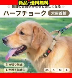 犬 首輪 ハーフチョーク L ベージュ 中型犬大型犬⭐A④205のサムネイル