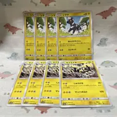 シママ　ゼブライカ　進化ライン　エクストラ