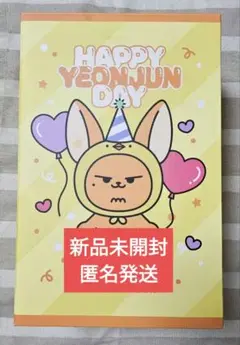 新品未開封　ヨンジュン　誕生日　センイル　ファンチュン　ぬいぐるみ