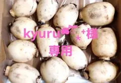 kyuru❝᷀ົཽ⁎⁺様専用