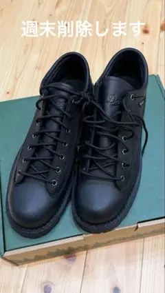 Danner ダナー フィールドブーツ 新品未使用正規品のサムネイル
