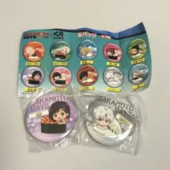 即日発送★サカモトデイズ くら寿司 SAKAMOTO DAYS 缶バッジ