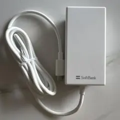 SoftBank USB-C急速充電器 SB-AC22-TCPD
