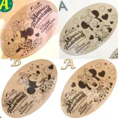 ミニーのファンダーランド　ディズニーリゾートライン　スーベニアメダル 4種