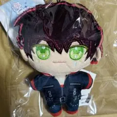 ニトロキラル キラメモ ドラマダ ぬいパル ぬいぐるみマスコット 紅雀
