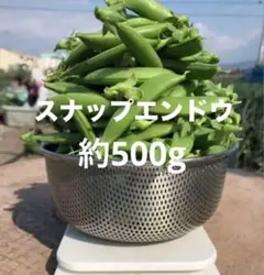 カノン様専用