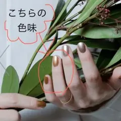 ゆうか@まとめ買い歓迎！プロフご覧下さい様 リクエスト 2点 まとめ商品