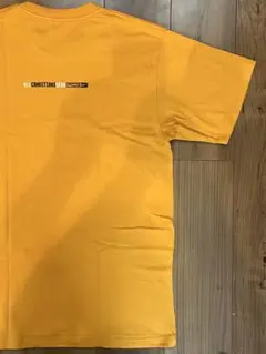 NIKE ナイキacg ALL CONDITIONS GEAR Tシャツ