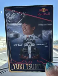 Item thumbnail for item 02f20979-4bcd-4744-a233-5ea59aa349a3