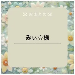 みぃ☆様おまとめ
