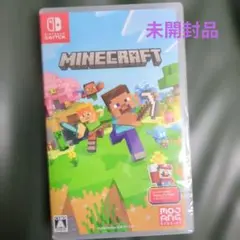 Minecraft Nintendo Switch版