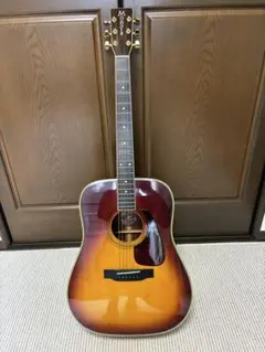 Morris MD-517縦ロゴHDケース付