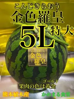超お勧め！熊本産【金色羅皇】秀品5L（2玉セット1玉10kg以上）かめ屋厳選堂 超お勧め！熊本産【金色羅皇】秀品5L（2玉セット1玉10kg以上）かめ屋