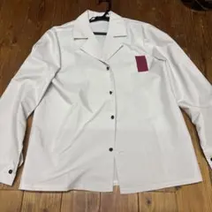 Item thumbnail for item 1ad926d0-2d0a-4097-aa79-46fca502e7fd