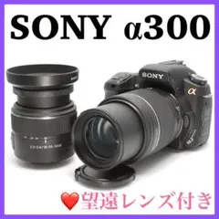 運動会・発表会に】ソニー α350 望遠レンズセット スマホ転送可 - メルカリ