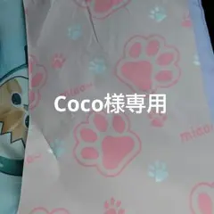 【専用】宅配ビニール袋 Ａ4