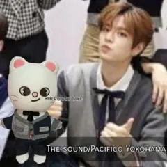 【Mume様ご確認ページ】パピーM