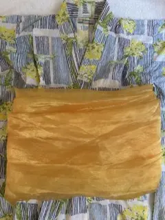 Item thumbnail for item 11afd34a-34a4-43fd-a470-2ea5cc66a31c