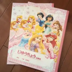 ディズニープリンセス自由帳２冊　オマケ付き