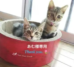 シーグラスアート オーダー確認ページ