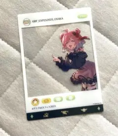 グラフェス extra 2025 　入場特典パンフレット　ステッカー グラフェス extra 2025 入場特典パンフレット ステッカー TICKET