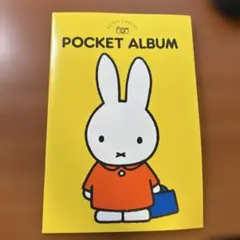 Item thumbnail for item e66d358e-e229-4541-9479-1e02368401a2