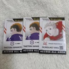 ハイキュー 夜久衛輔 名場面ジオラマフィギュア IDイメージカード Vリーグ ハイキュー 夜久衛輔 名場面ジオラマフィギュア IDイメージ